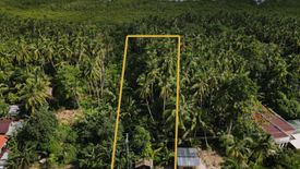 Land for sale in Unidos, Cebu
