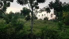 Land for sale in Lambug, Cebu
