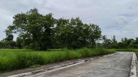 Land for sale in Latag, Batangas