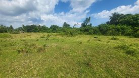 Land for sale in Tinago, Bohol