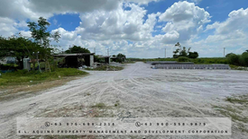 Land for sale in Manibaug Libutad, Pampanga