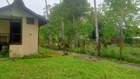 Land for sale in Poblacion, Palawan