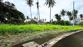 Land for sale in Hacienda Escudero, Anastacia, Quezon