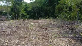 Land for sale in Mariveles, Bohol