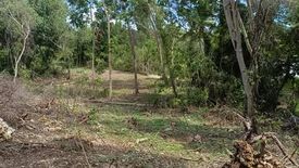Land for sale in Mariveles, Bohol