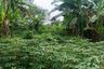 Land for rent in Pekayon Jaya, West Java