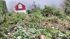 Land for sale in Irisan, Benguet