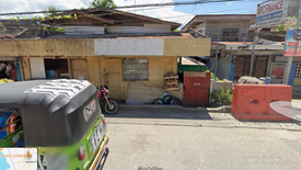 Land for sale in Cogon, Bohol