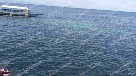 Land for sale in Tangnan, Bohol