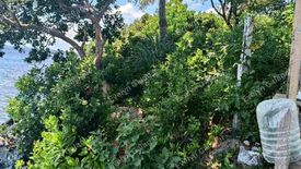 Land for sale in Tangnan, Bohol