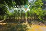 Land for sale in Sukolilo, East Java