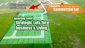 Land for rent in Masiit, Laguna