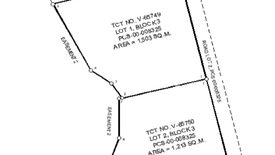 Land for sale in Viente Reales, Metro Manila