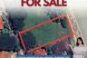 Land for sale in LOYOLA GRAND VILLAS, Ramon Magsaysay, Metro Manila near LRT-1 Roosevelt