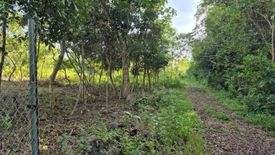 Land for sale in Bil-Isan, Bohol