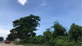 Land for sale in Lumaniag, Batangas