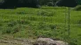 Land for sale in Suguidan Sur, La Union