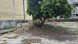 Land for sale in Palanan, Metro Manila