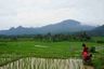 Tanah dijual dengan  di Tanjung Sari, Jawa Barat