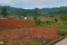 Land for sale in Tanjung Sari, West Java