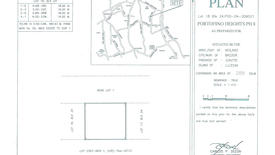 Land for sale in Almanza Dos, Metro Manila