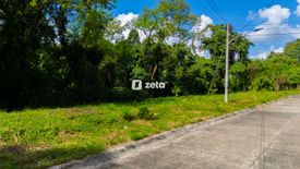 Land for sale in Canito-An, Misamis Oriental