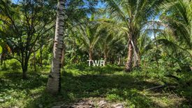 Land for sale in Kiraging, Misamis Oriental