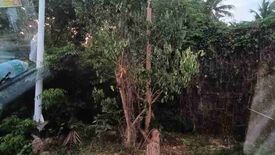 Commercial for sale in Tabalong, Bohol