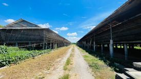 Land for sale in Kaledian, Pampanga