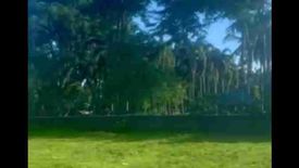 Land for sale in Lumbang, Batangas