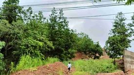 Commercial for sale in Coron, Palawan