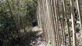 Commercial for sale in Coron, Palawan