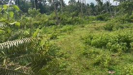 Land for sale in Del Carmen Norte, Bohol