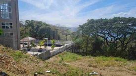 Land for sale in Natipuan, Batangas
