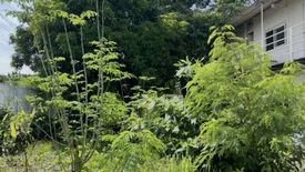 Land for rent in Central, Metro Manila