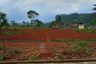 Tanah dijual dengan  di Tanjung Sari, Jawa Barat