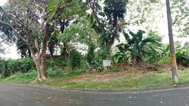 Land for sale in Pansol, Metro Manila