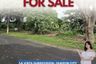 Land for sale in Pansol, Metro Manila