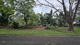 Land for sale in Pansol, Metro Manila