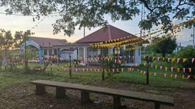 Land for sale in Panungyanan, Cavite