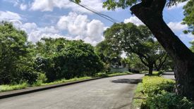 Land for sale in Alabang, Metro Manila