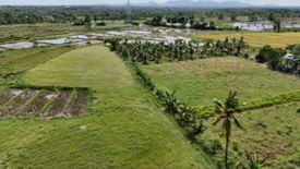 Land for sale in Kinan-Oan, Bohol
