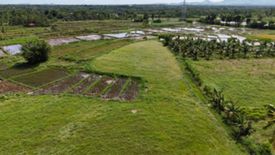 Land for sale in Kinan-Oan, Bohol