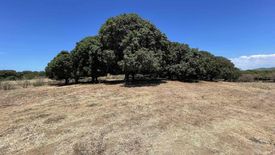 Land for sale in Prenza, Batangas