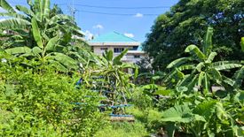 Land for sale in Pansol, Metro Manila