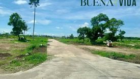 Land for sale in Rizal, Negros Occidental