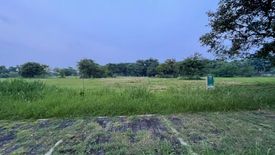 Land for sale in Santo Domingo, Laguna