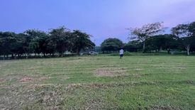 Land for sale in Santo Domingo, Laguna