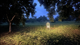 Land for sale in Santo Domingo, Laguna