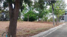 Land for sale in Payas, Pangasinan